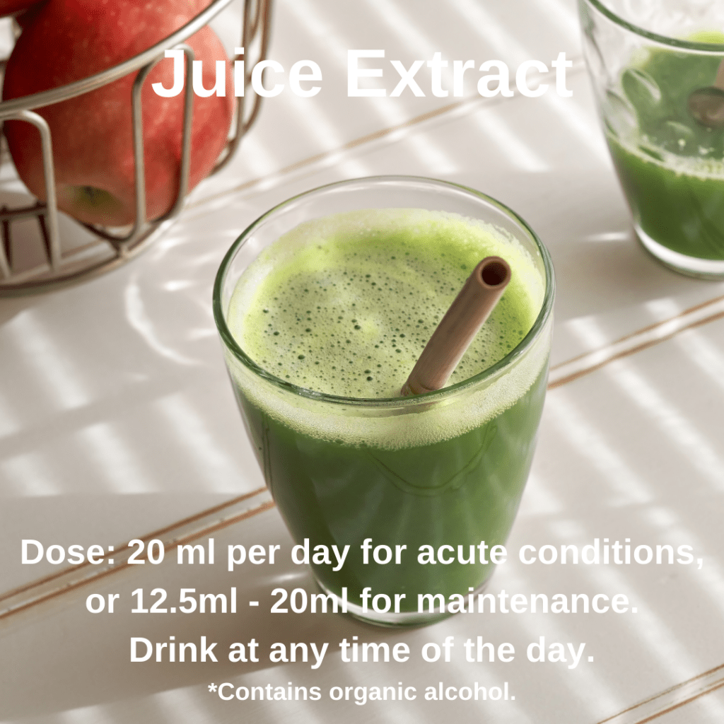 how to use Moringa juice extract