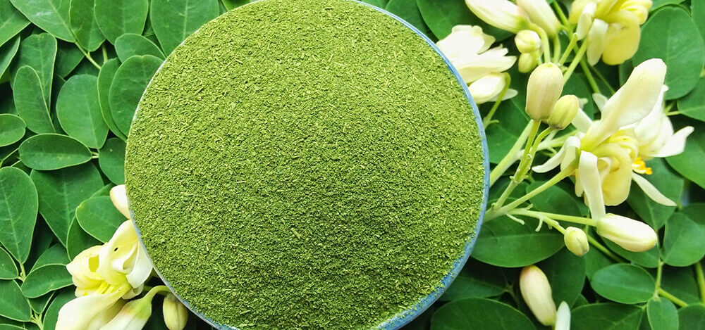 health benefits of Moringa extract
