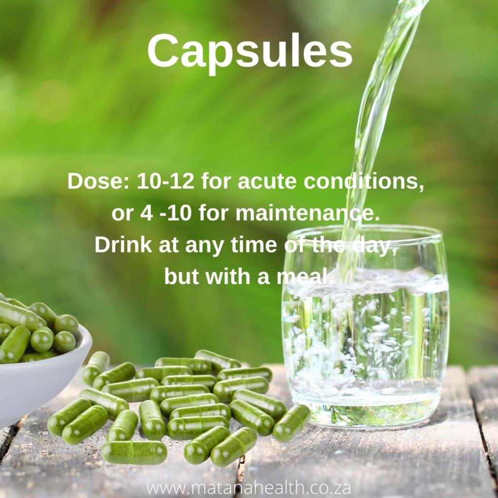 Can I Take Moringa With Magnesium How To Use | Moringa 4 South Africa